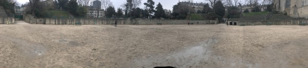 IMG_0766_arenes