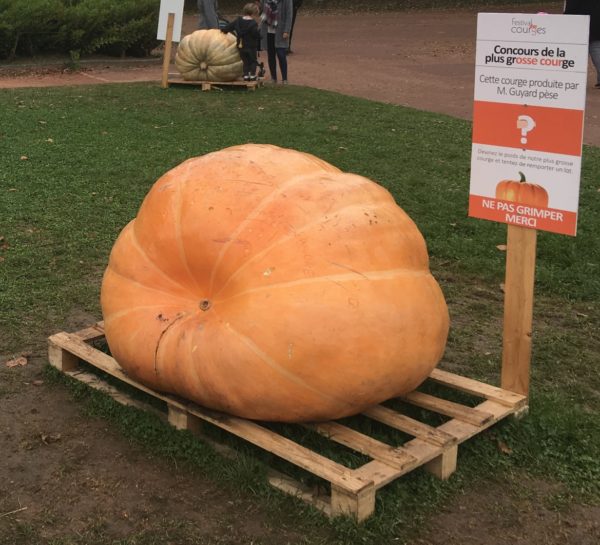courge