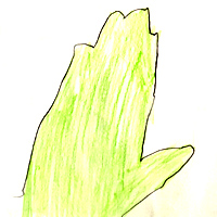 feuilleJ
