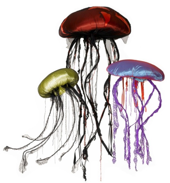 meduse