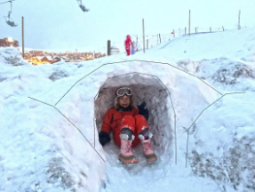 miniigloo