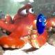 Dory