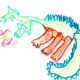 Le prince cherche un Dragon (2)